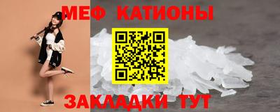 стафф Донской