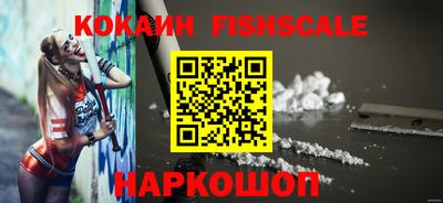 стафф Донской