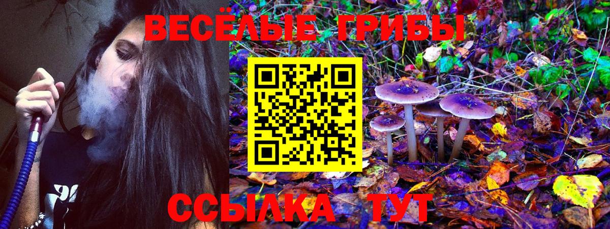 Галлюциногенные грибы мухоморы Лесосибирск