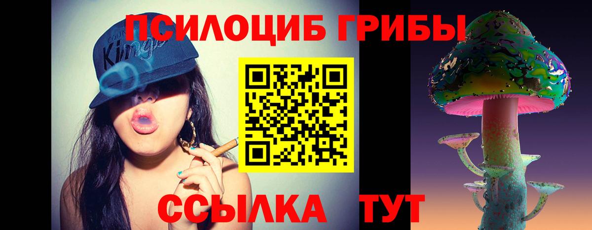 Лесосибирск  Галлюциногенные грибы Magic Shrooms  Вход с VPN 
