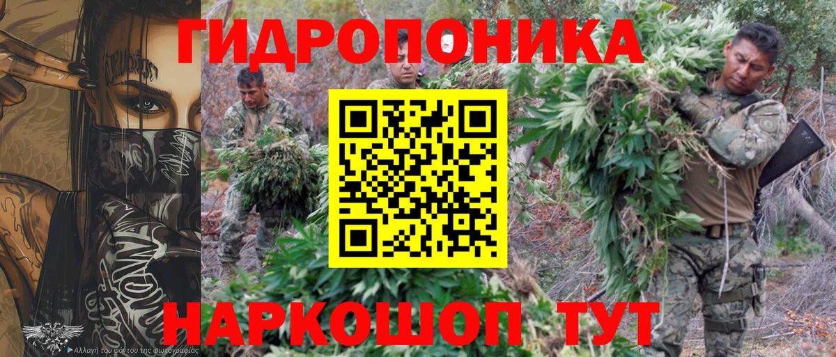 Шишки марихуана планчик  Конопля AK-47  Лесосибирск  Вход с VPN 